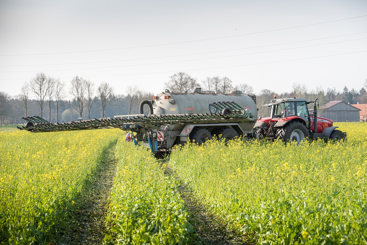 Benefits and Challenges of Intercropping in Sustainable Farming